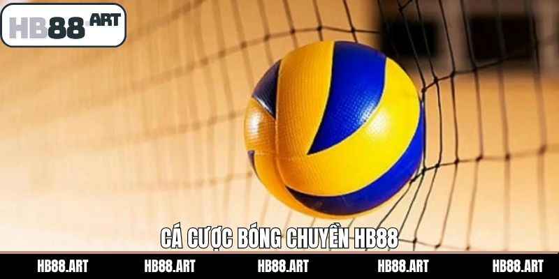 Cá Cược Bóng Chuyền HB88 - Môn Thể Thao Giải Trí Đầy Hấp Dẫn