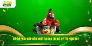 Đá Gà Peru Hấp Dẫn Nhất Tại Địa Chỉ Đỏ Uy Tín Hiện Nay